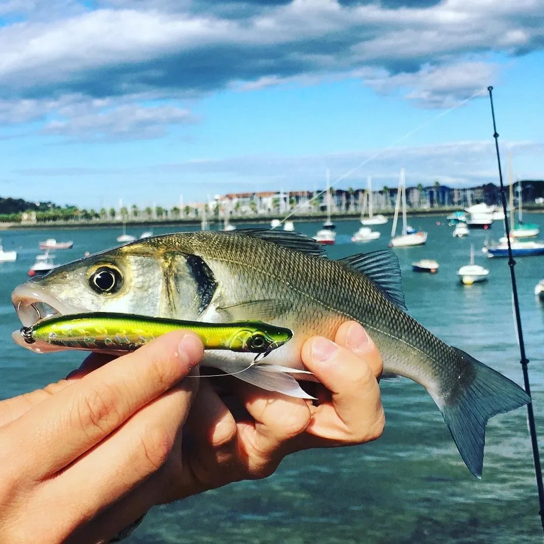 Fishing Lure 125mm 17g Topwater Pencil Popper Wobbler for Fishing Seabass Top Water Patchinko Baits Saltwater Surface Lures