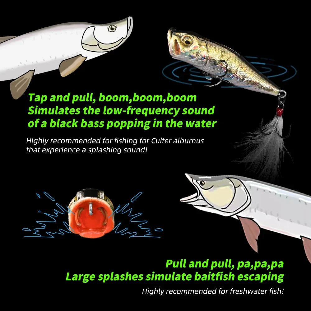 MEREDITH Topwater Popper 8.48g 64mm Floating Rock Pop Artificial Hard Baits for Bass Perch Pike Fishing Lure
